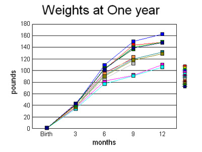 weight_chart (46K)