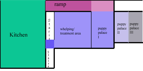 kennel-layout copy (35K)