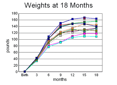 weights18mo (8K)