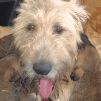 March, 2005 - Myrna and puppy