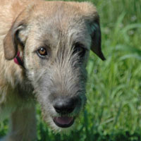 June, 2005 - Keeva
