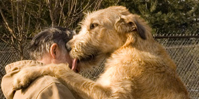 February, 2006 - William and Finian