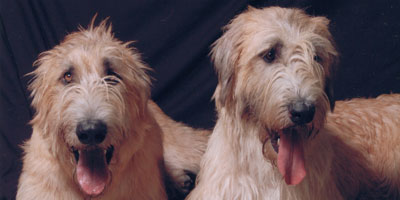 August, 2006 - Roisin and Ruairi