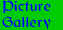 Picture Gallery