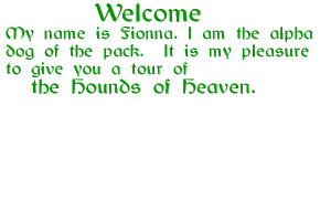 text